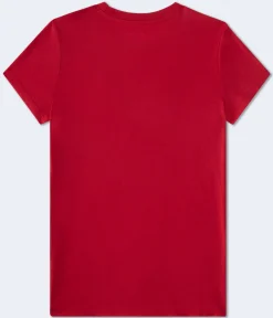 Aero 87 Appliqué Graphic Tee