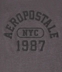 Aero Arch 1987 Graphic Tee