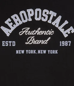 Aeropostale Arch Foil Graphic Tee