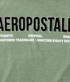 Aeropostale Authentic Logo Flocked Graphic Tee