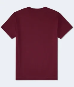 Aeropostale Authentic Logo Flocked Graphic Tee