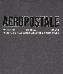 Aeropostale Authentic Logo Flocked Graphic Tee