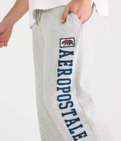 Aeropostale Bear Heritage Fleece Sweatpants