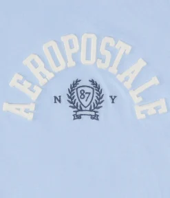 Aeropostale Crest Appliqué Graphic Tee