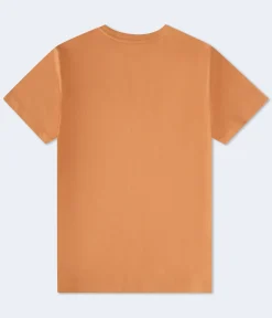 Aeropostale Lion Crest Flocked Graphic Tee