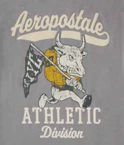 Aeropostale NYC Bull Graphic Tee