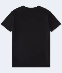 Aero Statue Of Liberty Graphic Tee