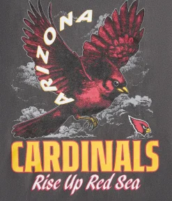 Arizona Cardinals Mascot Relaxed Graphic Tee