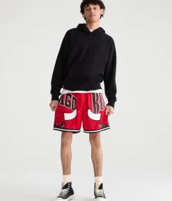 Chicago Bulls Mesh Shorts