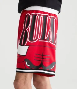 Chicago Bulls Mesh Shorts