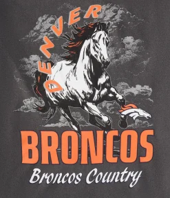 Denver Broncos Mascot Relaxed Graphic Tee