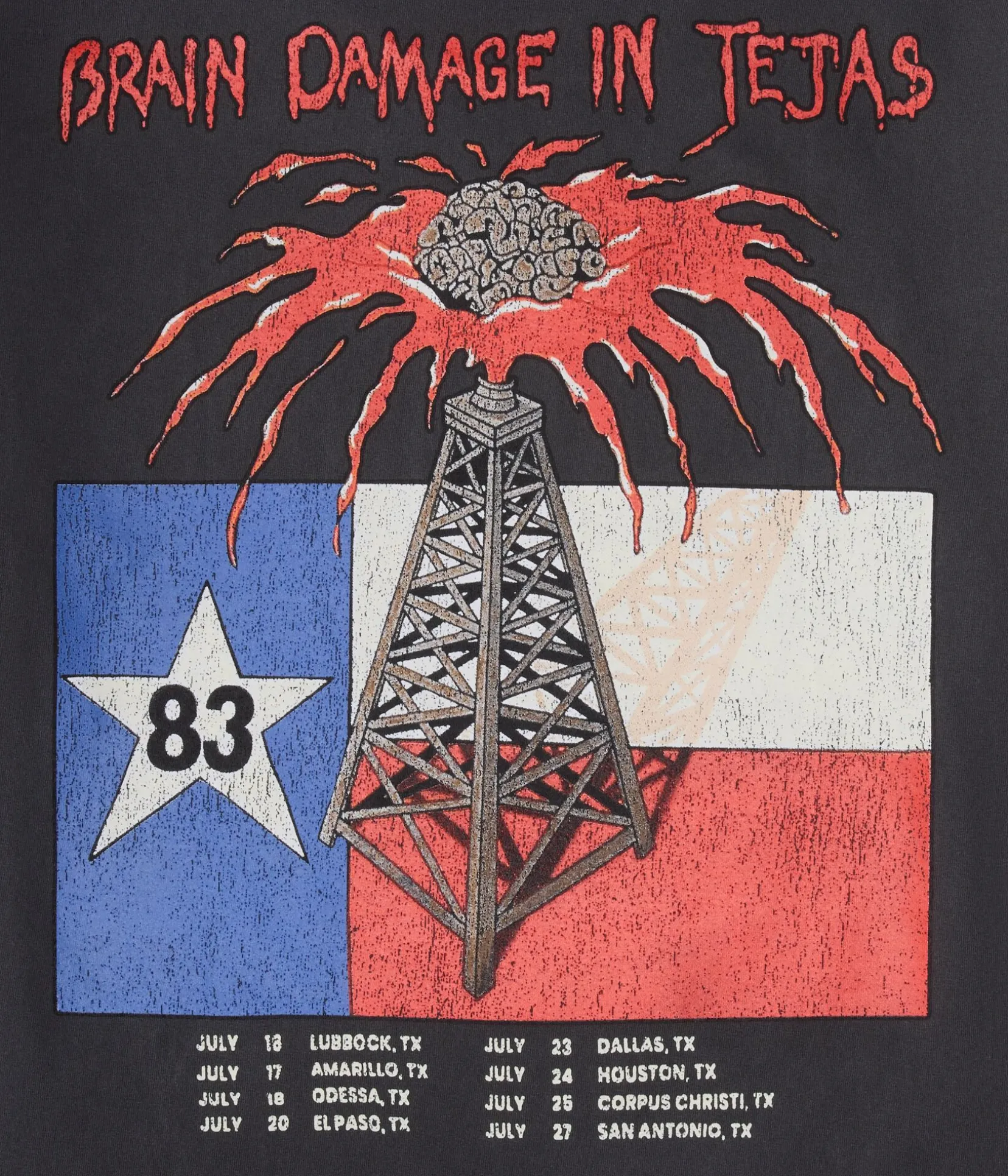 Iron Maiden Remember The Alamo Relaxed Graphic Tee